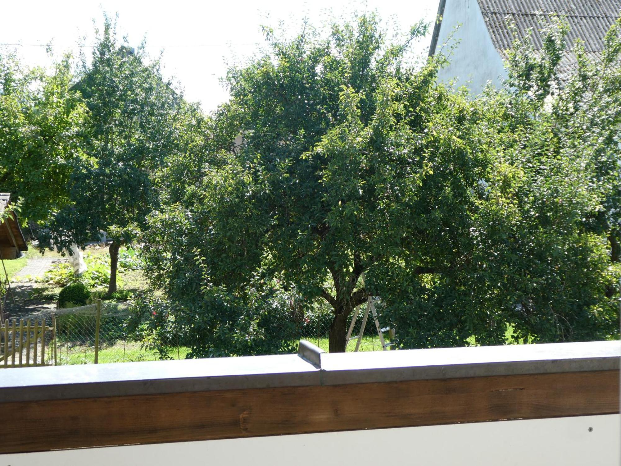 Waldesblick, Hotel-Restaurant Lahr (Hunsruck) Exterior foto